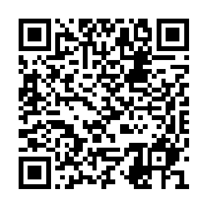 只有雷林在觉醒自身科莫音血脉传承的时候见过二维码生成