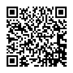 只有青铜巨人与大儒灵骸在夺取淡金色光球的时候才会消耗圣气二维码生成
