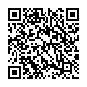只查到了海港集团的副总裁易海东交待的人员身上二维码生成