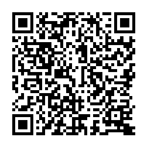 只消一眼就能看出一个人是有真材实料还是只是披着个假皮子虚张声势二维码生成