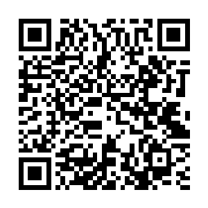 只用了五分钟就完成了火炮的展开和弹道的测算等所有工作二维码生成