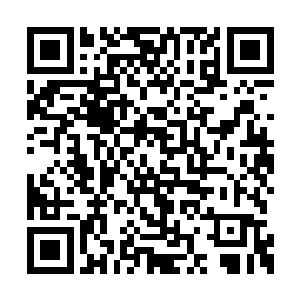 只留下了他在那里无奈的使劲的拍着自己的大腿二维码生成