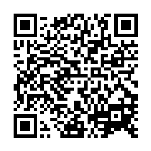 只留下了暴怒的亚瑟王以及那些快要被怒火淹没的圆桌骑士二维码生成