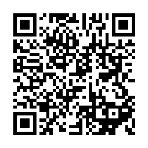 只留下了穆根孤零零一个人抱着阿尔法站在原地二维码生成