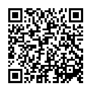 只留下体表如同火焰一般的血色纯净气息冉冉腾起二维码生成