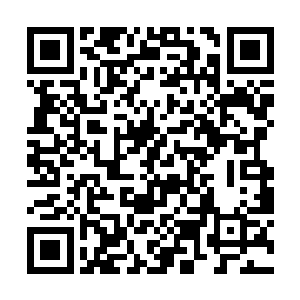只留下那低低的知了声和沙沙作响的竹林声随风而来二维码生成