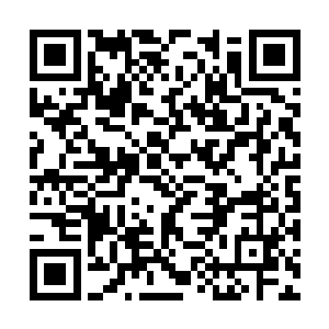 只留着夕阳从树林透着一点点的绿色光芒照着我们二维码生成