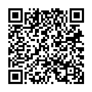 只相信自己眼睛看到的……还记得当时和她第一次见面的时候二维码生成