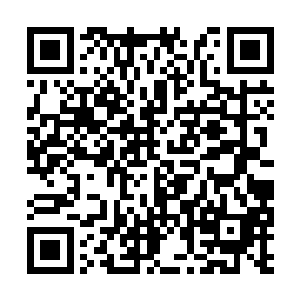 只盼着在未来的计划中自己的神机宗不要太过吃亏二维码生成