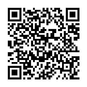 只看到一只酝酿了阴谋又无比犹豫迟疑的小仓鼠二维码生成