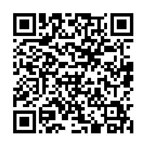 只看到一道道细微的红线从银鳞鱼的头部流淌出来二维码生成