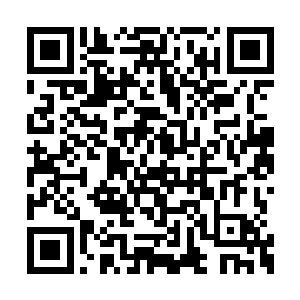 只看到了一截隐藏在树丛之中的灰白色机身残骸二维码生成