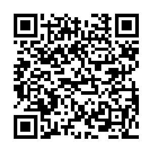 只看到了被点了穴道昏睡着的墨小宝和满地的尸体血迹二维码生成