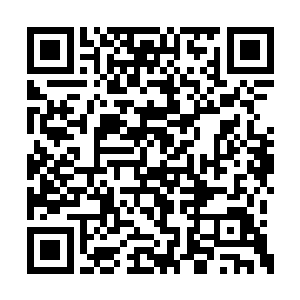 只看到布华世子殿下带了侍从像是要去城外打猎二维码生成