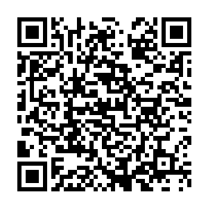 只看着薄西仙人的那些手下在洒迭他们下完台阶后就迅速围了过去二维码生成