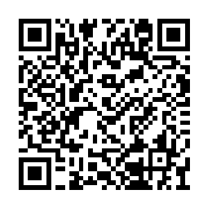 只知道他们魔界的魔人除了按照实力境界分高低二维码生成