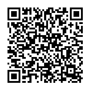 只穿着t恤牛仔短裤加人字拖的林晓夕在那次同学会上彻底的成为了点缀二维码生成