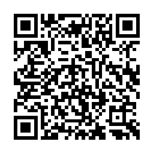 只立即从袖中取出了几枚婴儿拳头大的金黄宝珠二维码生成