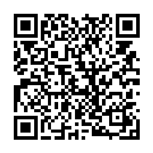 只第一次收咕仔进入阴珠时候需要冗长晦涩的咒语二维码生成