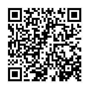 只等慈善晚会结束后这小走出酒店便动手……这次二维码生成