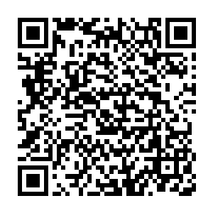 只等把刘在石脸面隐藏在鲜花后面之后才讪讪的从舞台上面跑下来二维码生成