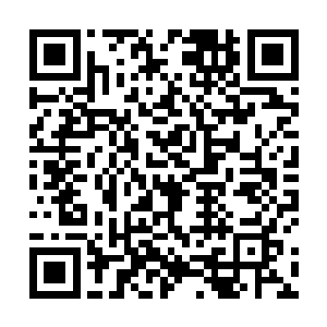 只等晾晒成干巴巴的比石头还要硬的面团子就供奉上去二维码生成