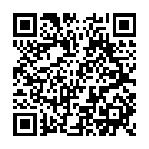 只等目标从树旁边经过时带动早已埋伏好的陷阱二维码生成