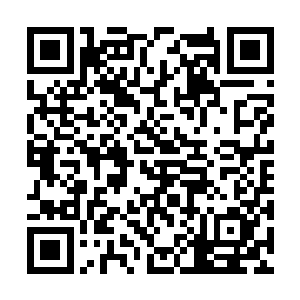 只管日日像那见了肉骨头的野狗一般拼命往赌坊去二维码生成