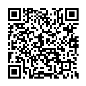 只能一边奔逃一边释放天地之力湮灭夏雨的攻击二维码生成