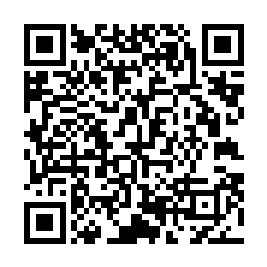 只能一边联系中海和宁海的关系调集高速路上的视频资料二维码生成
