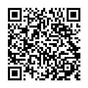 只能从这些灵兽身上感受到那恐怖的死亡气息和愤怒气息二维码生成