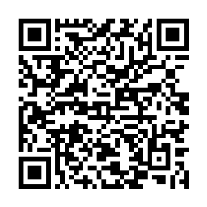 只能仓促应战的黑袍心魔这次也被轰击得身形踉跄二维码生成
