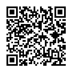 只能以更精彩的剧情来感谢各位书友对九灯的支持二维码生成