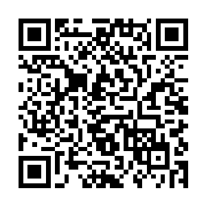 只能依靠你自己对抗病魔了――话说你好歹也是神诶二维码生成