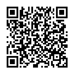 只能依靠坚硬的龟壳和搅动水流带来的冲击给敌人造成伤害二维码生成
