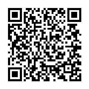 只能全部守着青帝等人的灵魂玉简等待事态后续发展二维码生成