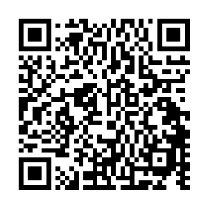 只能利用卡片来战斗的世界……上百个不可思议的奇妙世界二维码生成