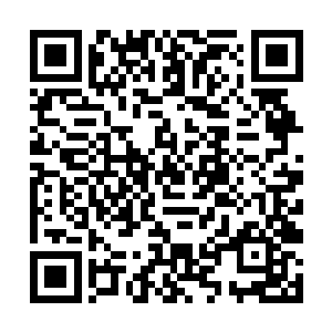 只能听见零食和塑料袋随着摆动互相摩擦滚撞的声音二维码生成