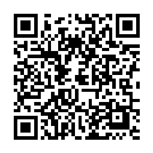 只能在臣之检查两路驻泊禁军经费财计事上下功夫了二维码生成