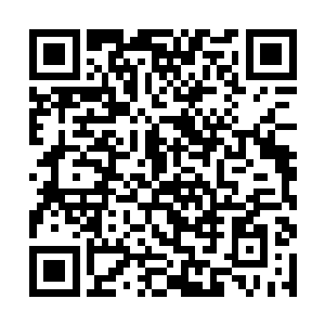 只能够积累财富从俗世中买取一些山参等药材来服用二维码生成