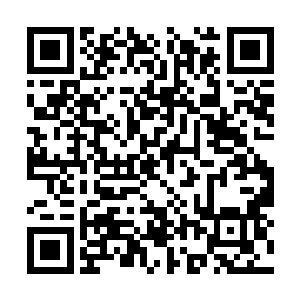 只能委屈紫衣郡王和璃王殿下在暮色多停驻几日了二维码生成