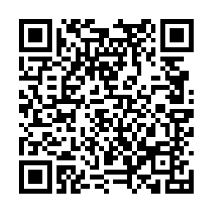 只能干巴巴的看着就在他们前面两阶阶梯上的林烽二维码生成