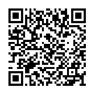 只能感知出那是一名实力和他差不多的天仙仙人二维码生成