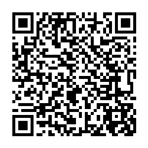 只能成为那些已经在城主府中死去之人的陪葬品和亚瑟家族发泄愤怒的牺牲品二维码生成