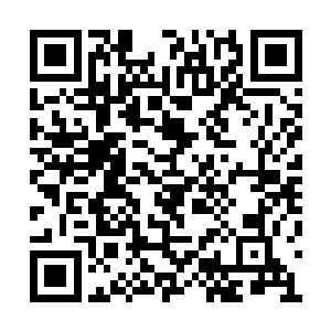 只能打扰先辈们飞升神界之前留下的半神分身了二维码生成