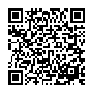 只能指望马文大人还有那个突然出现的女巫师能把它抢回来了二维码生成