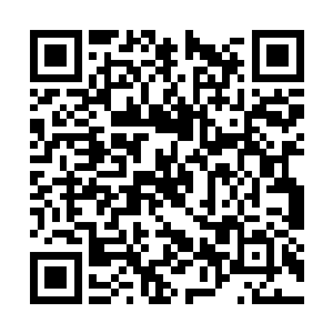 只能是老老实实的把一件类似飞盘的移动法宝取出二维码生成