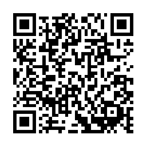 只能用五行属性之中能够克制水属性的土属性方式來攻击二维码生成