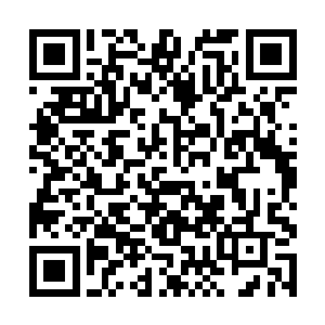 只能用头颅触在地面以表达自己最崇高的敬意和感激二维码生成