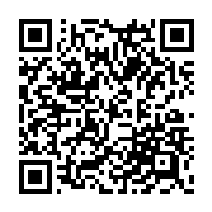 只能看到一大片平整好的土地和零散的几台机械二维码生成